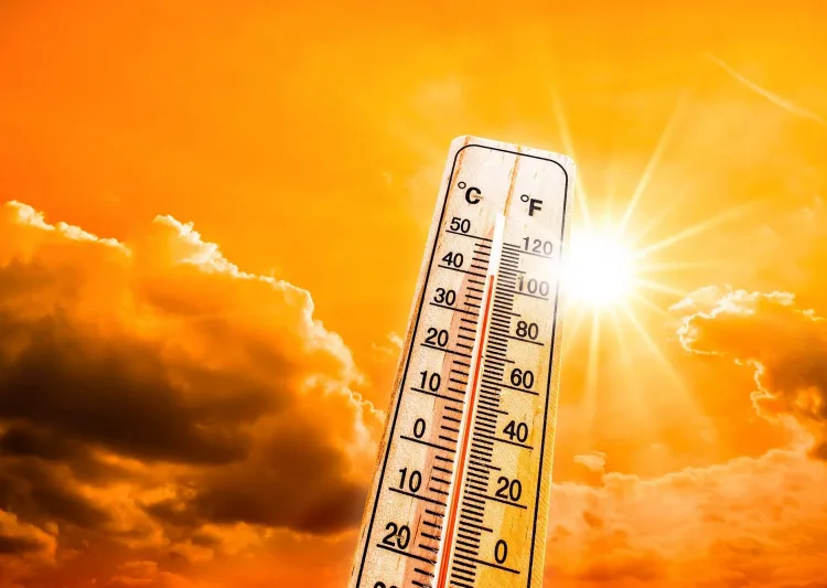 Morocco heatwave intensifies as temperatures reach 46C