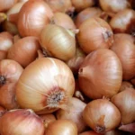 importations d’oignons au Maroc