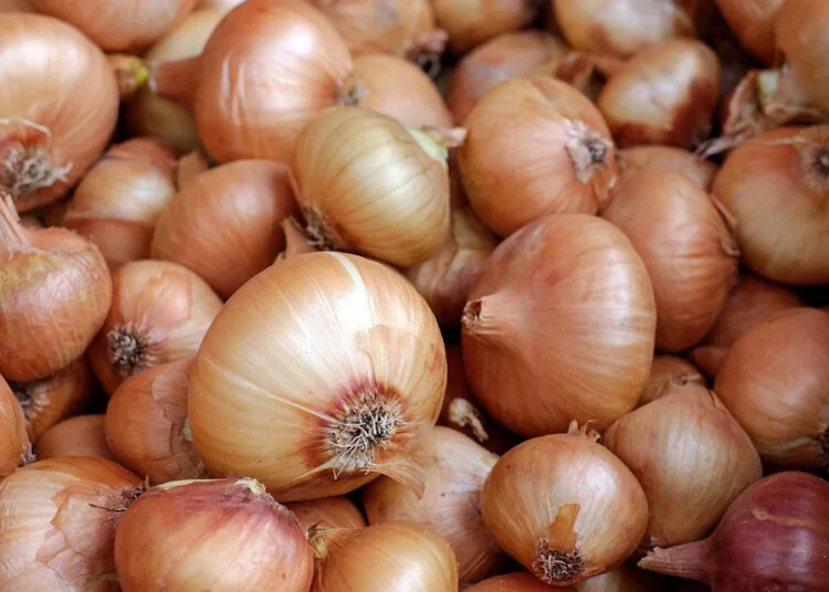 Morocco onion imports