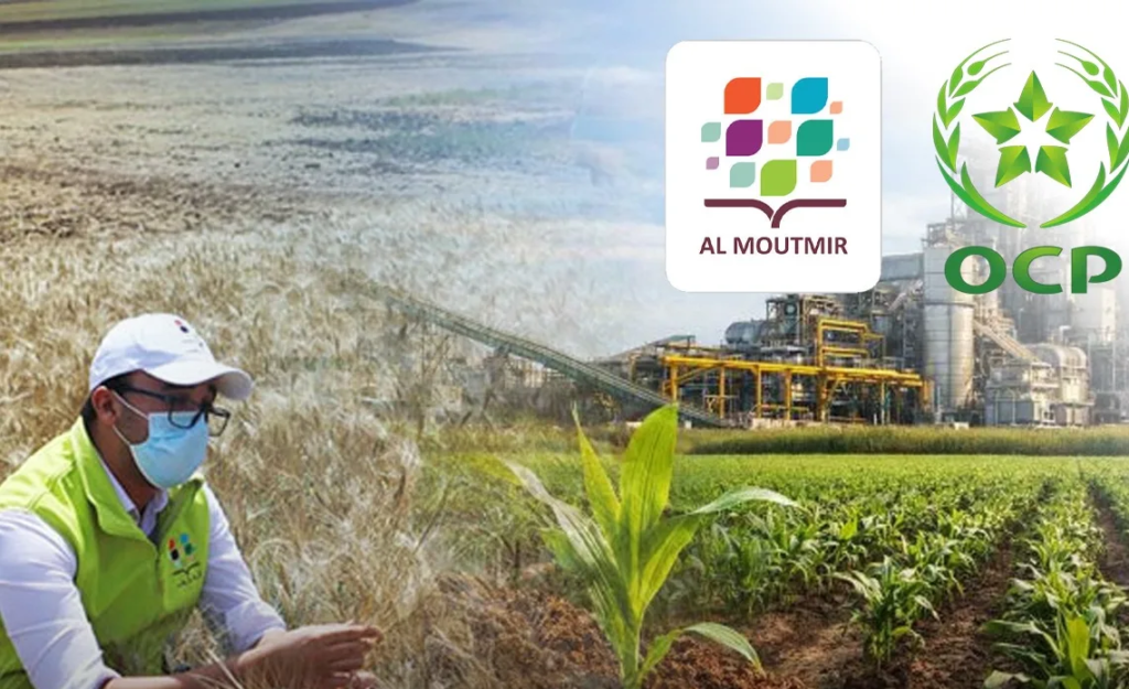Al Moutmir program lifts Moroccan crop yields by 42%