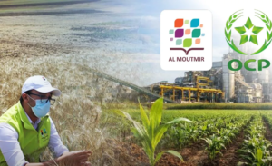 Al Moutmir program lifts Moroccan crop yields by 42%