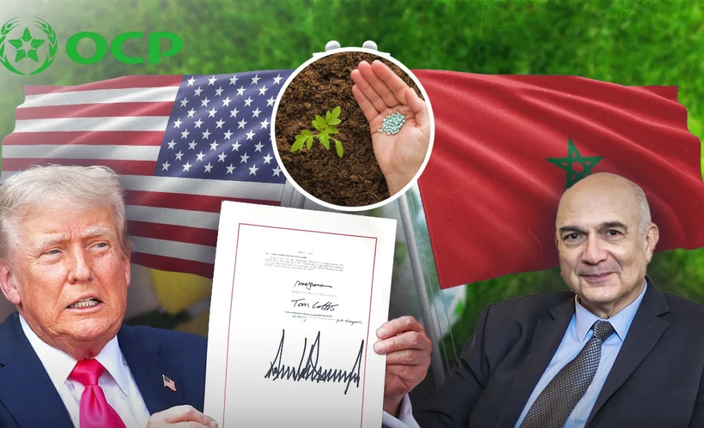 fosfato marroquí, ocp group, comercio de fertilizantes, agricultura estadounidense, cadenas de suministro