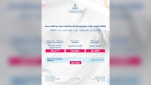 رسم بياني يوضح عدد المقاولات المحدثة بالسجل التجاري والأشخاص المعنويين والأشخاص الذاتيين