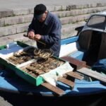Fishmonger displaying smoked herring at a market stall