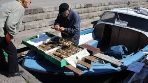 Fishmonger displaying smoked herring at a market stall