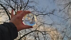 Une boule de cristal reflétant un arbre